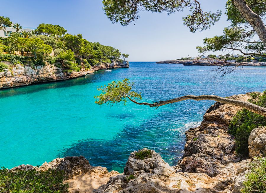 Coaching Terapéutico en Mallorca y Madrid
